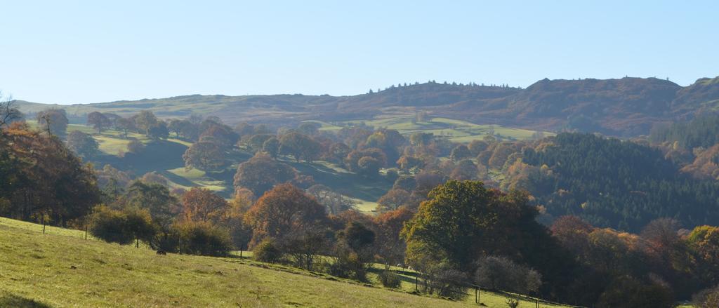 Pale Hall Llandderfel Exterior foto